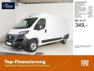 Fiat Ducato, 140PS L4H2 Kastenwagen, Jahr 2024 - Pilsach