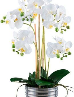 Kunstorchidee Orchidee Phalaenopsis, Creativ green, Höhe 62 cm, mit silberfarbenem Keramiktopf
