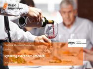 Systemgastronom (m/w/d) - Sinsheim