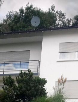 Einfamilienhaus mit Einliegerwohnung in der naturnahen Lage. Kaufpreis verhandelbar. - Hünstetten