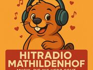 Suche Hörer und Musiker für mein Webradio - Leverkusen