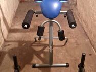 FITNESS GERÄT Dorylax PRO & Max body mass of user 120kg - Zerbst (Anhalt)