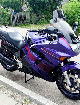HONDA CBR 1000 F - NEUER TÜV (!), Dual CBS, Superbikelenker, KRAUSER Koffersatz, Tourscheibe... - Prien (Chiemsee)