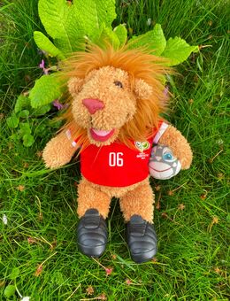 Nici Maskottchen Goleo, Fifa World Cup 2006 - Kaiseraugst