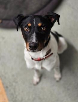 BRISA ❤️ kleine Frohnatur, Immenhausen - Kissing