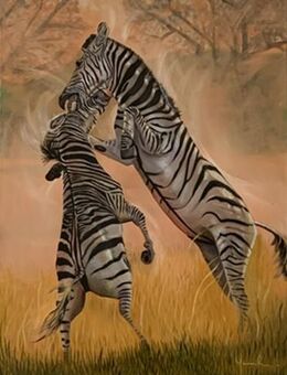 Kunsthandel Gennep -"Gewinner" - Kleve Zentrum