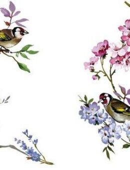 Komar Fensterbild Wedding Birds, 31x31 cm (Breite x Höhe), selbsthaftend