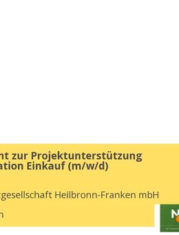 Werkstudent zur Projektunterstützung Transformation Einkauf (m/w/d) - Heilbronn