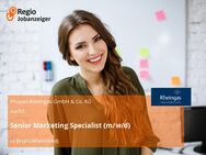 Senior Marketing Specialist (m/w/d) - Brühl (Nordrhein-Westfalen)