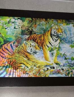 3-D Wandbild in dekorativem Rahmen zu verkaufen "Tiger" - Walsrode