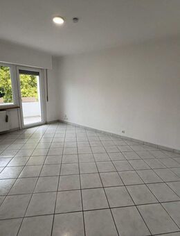 Mädels WG sucht Mitbewohner/in - Grenzach-Wyhlen