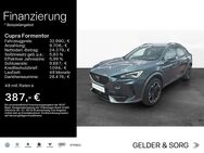 CUPRA Formentor, 2.0 TDI 18Z, Jahr 2023 - Lichtenfels (Bayern)