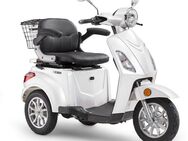 Luxxon Elektromobil E3800, 800 W, 20 km/h, (Elektroroller, Korb), bis zu 65 km Reichweite, Elektro Dreirad, Seniorenmobil