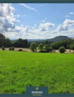 Wohnhaus mit Feld, Wald- und Wiesenflächen - Kemnath