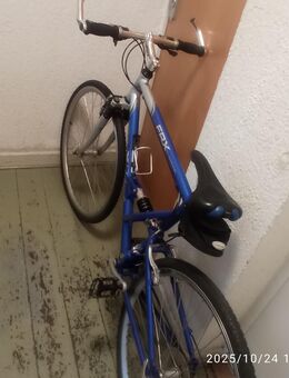 Super gutes Herrenbike der Firma KETTLER 30€ - Essen