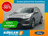 Ford Kuga, ST-Line X 150PS Fahrassist &Winter-P, Jahr 2020 - Bad Nauheim