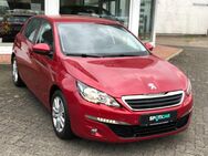 Peugeot 308 - Edertal