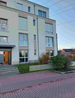 Hier schlägt besonders das Herz für Singles und Paare - Monheim (Rhein)