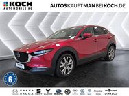 Mazda CX-30, 2.0 -X M Hybrid Selection, Jahr 2019 - Berlin