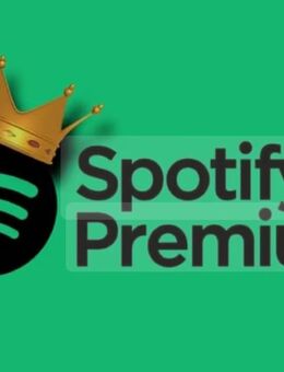 Spotify premium - Stuttgart