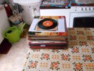 Schallplatten aus den 60er, 70er,80er Jahren. 41 LPs und 4 Singl. - Harzgerode Dankerode