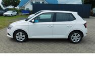 Skoda Fabia, 1.0 Active MPI 4Trg, Jahr 2021 - Vordorf