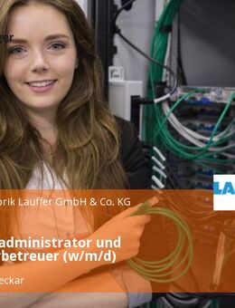 IT Systemadministrator und Anwenderbetreuer (w/m/d) - Horb (Neckar)