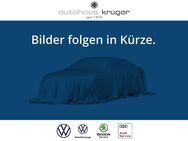 VW T-Cross, 1.0 TSI Life digitales, Jahr 2024 - Bad Krozingen