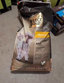 Katzentrockenfutter - Gütersloh