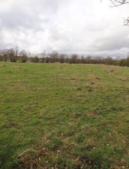Vielseitig nutzbarer Resthof bei Lütjensee zu Verkaufen, Bauernhaus mit Stallungen auf 9 ha Landfläche - Lütjensee