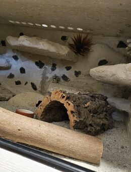 Terrarium - Westerstede