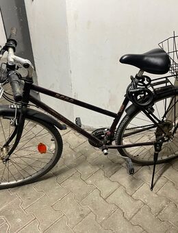 Damen Mountainbike wheeler 28 Zoll - Ostfildern
