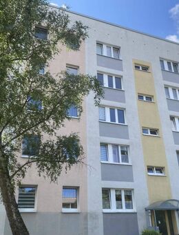 3-Raumwohnung in der Südstadt von Halle / S. - Halle (Saale)