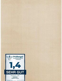 Andiamo Teppich Arezzo, rechteckig, Höhe: 16 mm, Uni Farben, weicher Flor, waschbar, ideal im Wohnzimmer & Schlafzimmer