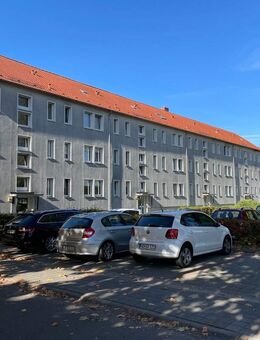 Ab ins neue ZUHAUSE! - Wittenburg