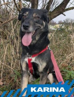 Karina - neugieriges, herziges Madl - Berlin