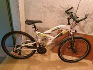 Mountainbike - Halle (Saale)