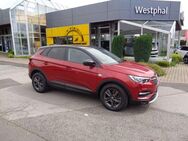 Opel Grandland X Design Line 1.2 Automatik - Eschweiler