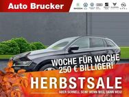 Skoda Superb Combi Ambition 4x4 2.0 TDI+Alufelgen+Xenon+Navi+PDC - Marktredwitz