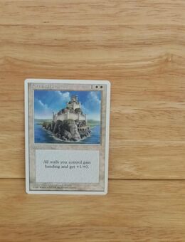 Magic The Gathering-Deckmaster. -Fortified Arena - Nörvenich