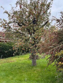 ZUHAUSE ANKOMMEN: ÄLTERES WOHNHAUS IN HERRLICHER LAGE VON ALTERLANGEN - Erlangen