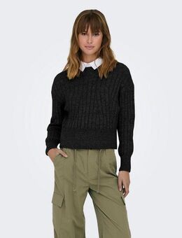ONLY Rundhalspullover ONLAGNES LS RIB HIGHNECK CC KNT