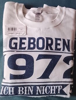 Herren Sweatshirt Größe L - Landau (Pfalz)