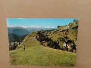Postkarte C-122-Blick vom Brauneck zur Zugspitze. - Nörvenich