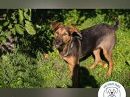 Stina Königreich gesucht - Kirchzell