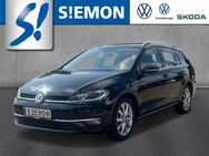 VW Golf Variant, 1.5 TSI 7 Highline, Jahr 2019 - Lengerich (Nordrhein-Westfalen)