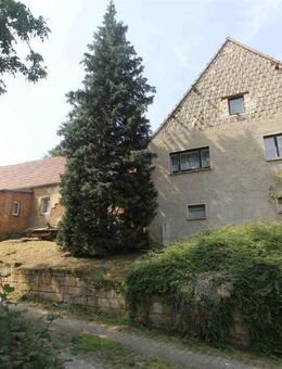Idyllisch gelegener Bauernhof in Weißenschirmbach - Querfurt