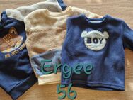 Pullover größe 56 für Jungen und Mädchen - Rodgau