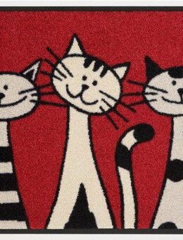 wash+dry by Kleen-Tex Fußmatte Three Cats, rechteckig, Höhe: 9 mm, Schmutzfangmatte, Motiv Katzen, rutschhemmend, waschbar