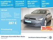 VW Golf, 2.0 TDI VIII Life, Jahr 2024 - Mannheim